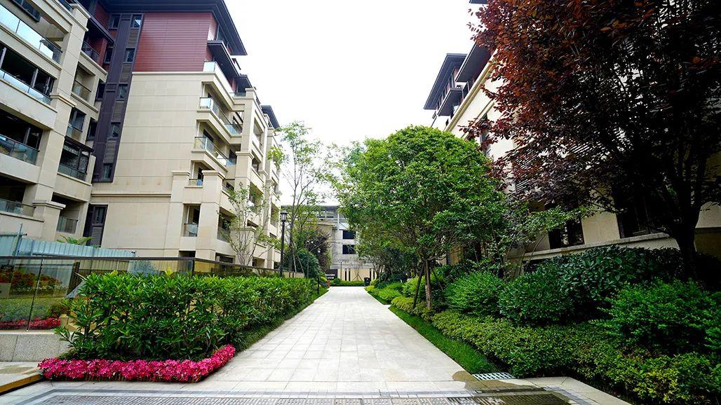 龙岗健身房_器材健身店龙岗地址_龙岗健身器材店