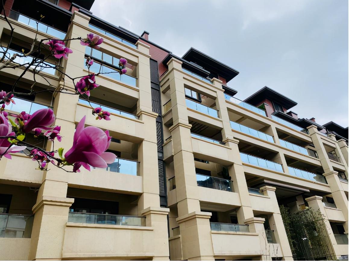 龙岗健身器材店_器材健身店龙岗地址_龙岗健身房
