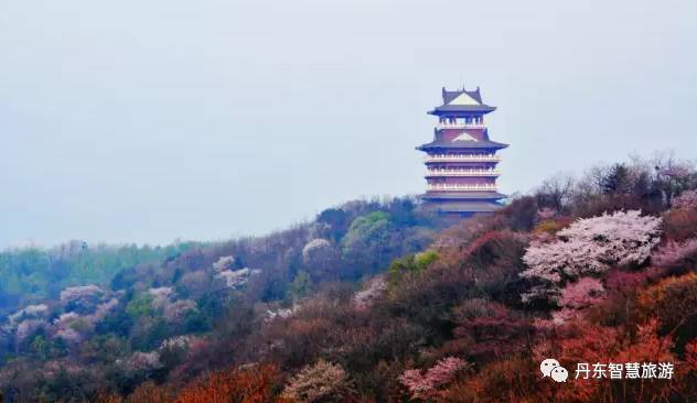 丹东马拉松时间安排_2020丹东马拉松_2017丹东马拉松
