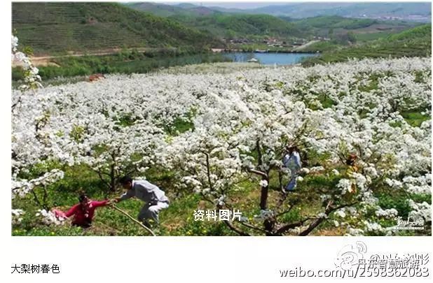 2017丹东马拉松_2020丹东马拉松_丹东马拉松时间安排