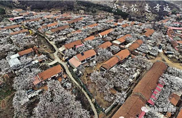 2020丹东马拉松_丹东马拉松时间安排_2017丹东马拉松
