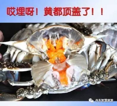 2017丹东马拉松_丹东马拉松时间安排_2020丹东马拉松